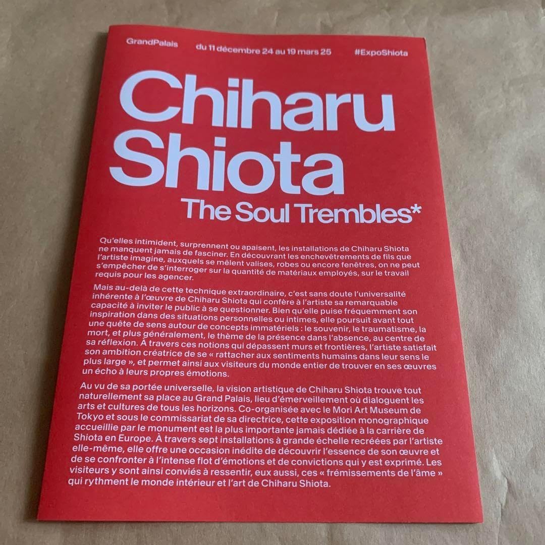 クオンサイドステップ クオン サイドステップ アルミ縞板 上下段セット